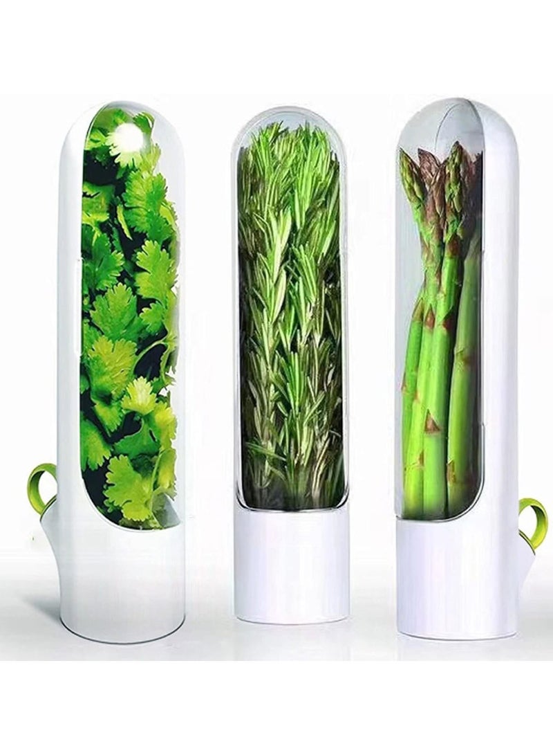 حافظ الأعشاب للثلاجة زجاجة لحفظ الخضروات الطازجة للكزبرة والنعناع والبقدونس بـإحكام جيد ضد تسرب الماء، مما يحافظ على رطوبة الخضروات ويضمن جودتها - Image 2